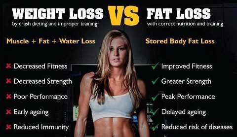 muscle-vs-fat-1